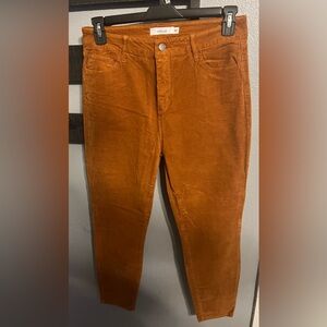 Cello Women’s Corduroy Pants